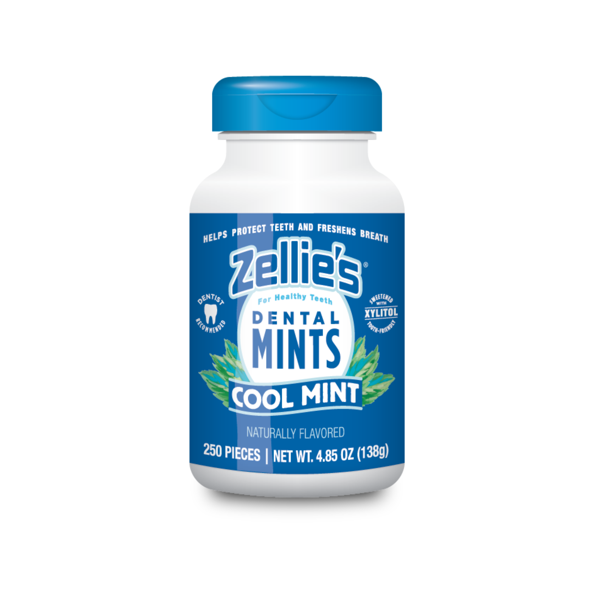 Gift of Healthy Teeth Variety Pack - MINTS