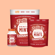 CINNAMON Xylitol Dental Mints